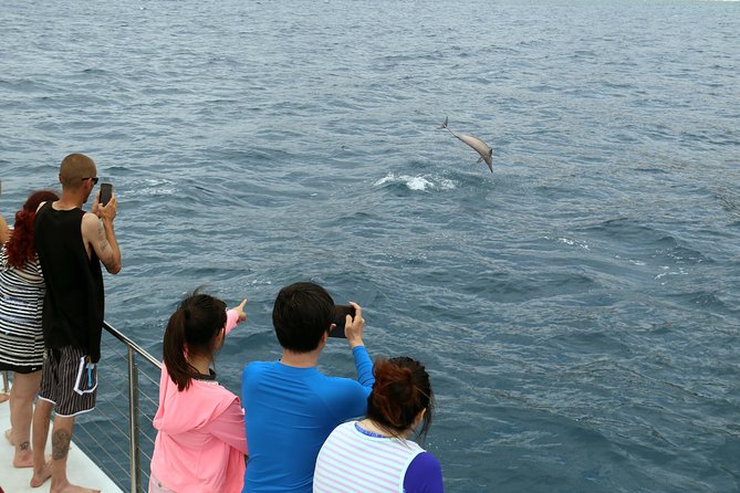 Luxury Snorkel Cruise, Local Buffet with Whale & Dolphin Watch - Warm showers, changing rooms, and onboard comfort