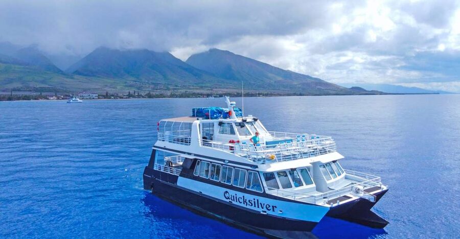 Ma'alaea Harbor: Whale Watching Tour Aboard Power Catamaran - Why the Double-Deck Boat Helps