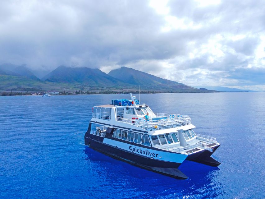 Ma'alaea Harbor: Whale Watching Tour Aboard Power Catamaran - The Two-Hour Route, Step by Step