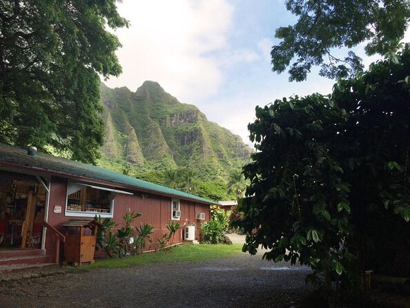 Majestic Circle Island Tour with Lunch - The smart way to see Oahu in one long day
