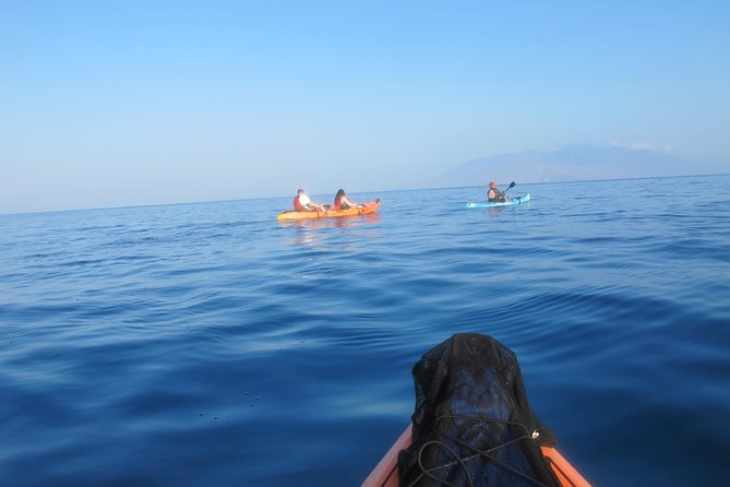 Makena Turtle Town Eco Adventure in Maui - The guides make the small group work