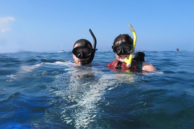 Makena Turtle Town Eco Adventure in Maui - Who should book this adventure