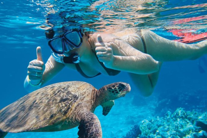 Makena Turtle Town Eco Adventure in Maui - Makena Landing Park at 7 a.m.
