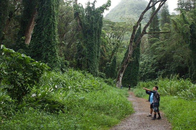Manoa Falls Rainforest & Self-Guided Hike - Is $52.99 a fair price?