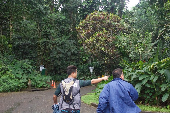 Manoa Falls Rainforest & Self-Guided Hike - The shuttle from Waikiki