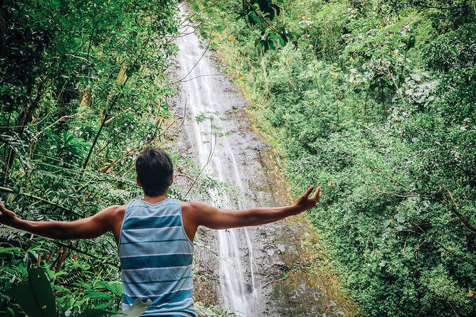 Manoa Waterfall Hike with Waikiki Pickup & Healthy Lunch - Walking the 1.6-mile Manoa Falls Trail