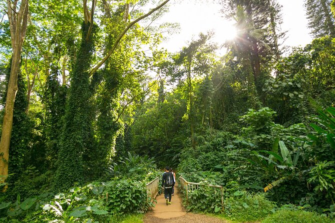 Manoa Waterfall Hike with Waikiki Pickup & Healthy Lunch - Reaching the base of Manoa Falls