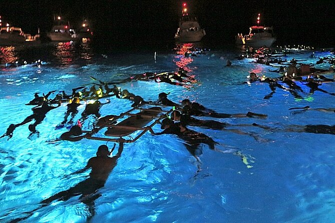 Manta Magic: Small-Group Manta Ray Night Snorkel in Kailua Kona - Key Points at a Glance