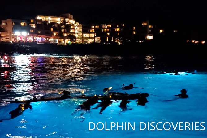 Manta Ray Night Snorkel at Kona, Big Island - What the guides do well, and what they cannot control