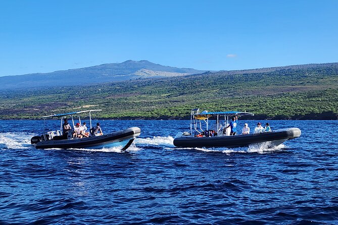 Manta Ray Night Snorkel at Kona, Big Island - Who should book it