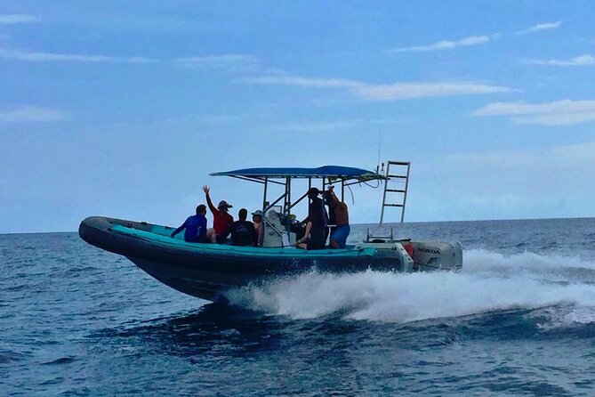 Manta Ray Night Snorkel at Kona, Big Island - Smart ways to make the night easier
