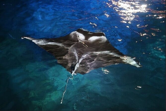 Manta Ray Night Snorkel Experience of a Lifetime - Getting fitted with wetsuits and gear