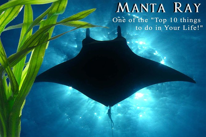Manta Ray Night Snorkel from Kona — Small Group - Safety briefing, wetsuits, and getting comfortable
