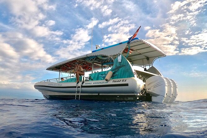Manta Ray Night Snorkel from Kona — Small Group - How the small-group format changes the night