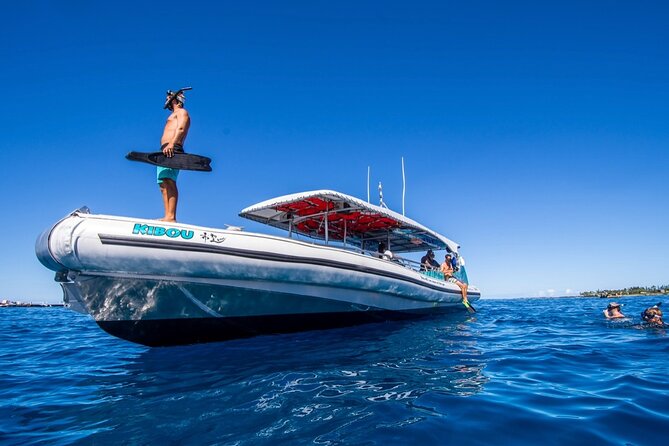 Manta Ray Night Snorkel from Kona — Small Group - The guides and the feel of the service