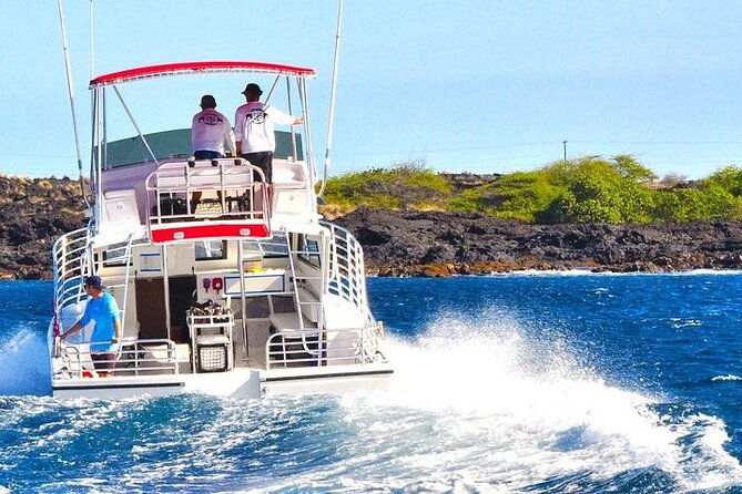 Manta Ray Night Snorkel in Kona - Why the manta ray encounter is so unusual