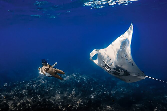 Manta Ray Night Snorkel Tour in Kailua-Kona, Big Island - What happens at Manta Ray Heaven