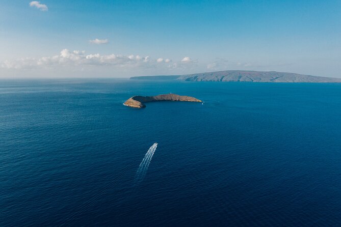 Maui: 2-Hour Molokini Snorkel Trip - Why Molokini Crater makes a good short outing