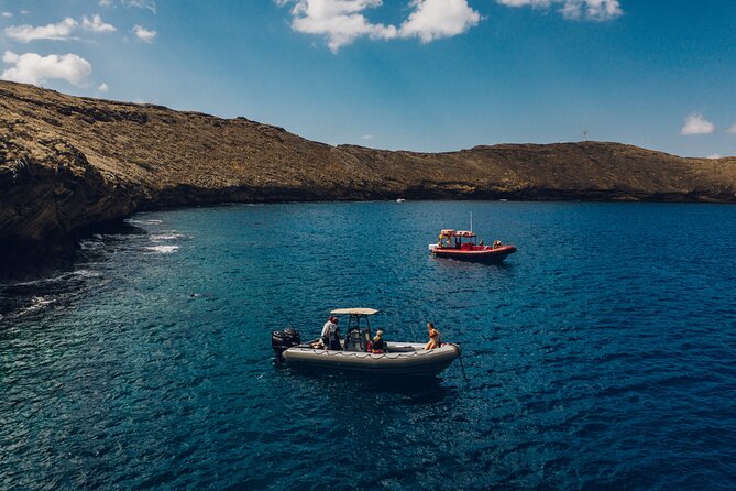 Maui: 2-Hour Molokini Snorkel Trip - Who should book this Molokini trip?