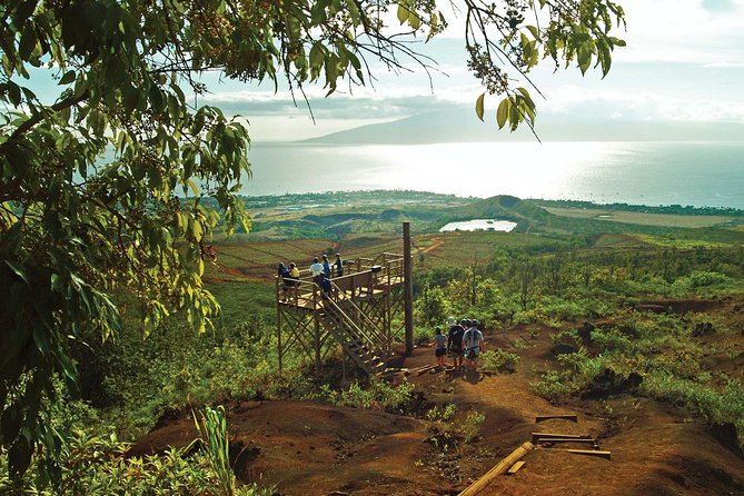 Maui 8 line Zipline Adventure: Soar above valleys & Island views - Quick reasons to consider this zipline