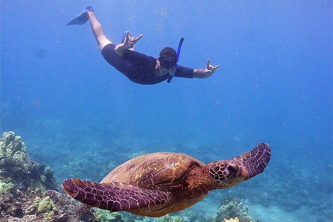 Maui Afternoon Snorkel Aboard Malolo to Molokini or Coral Gardens - Molokini Crater when the ocean cooperates
