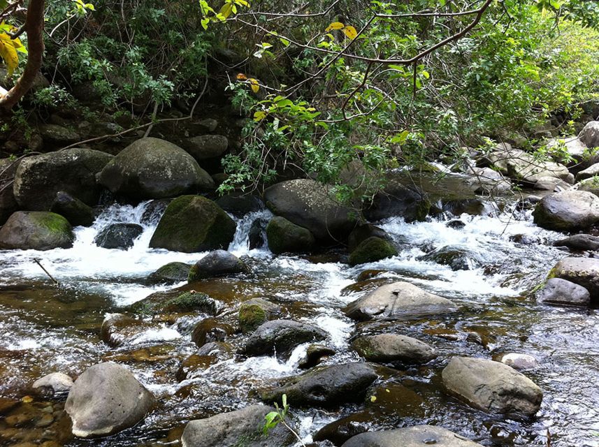 Maui: Best of Maui/Haleakala - Sips, Sites & Bites - Who will enjoy this most?