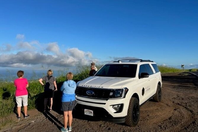Maui by Storm: Epic Private Luxury Road to Hana Adventure Tour - Why a private guide helps on the Hana Highway