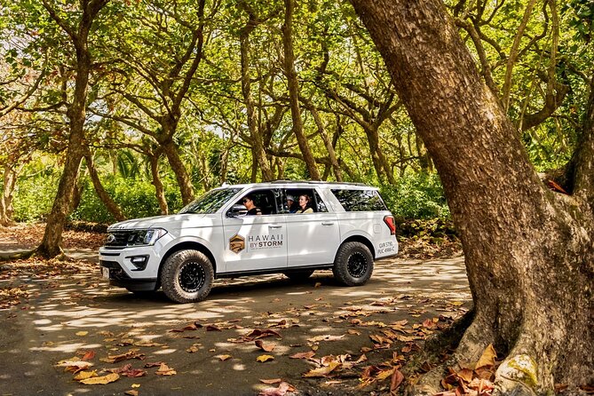 Maui by Storm: Epic Private Luxury Road to Hana Adventure Tour - Ke’anae Point and the coastal views
