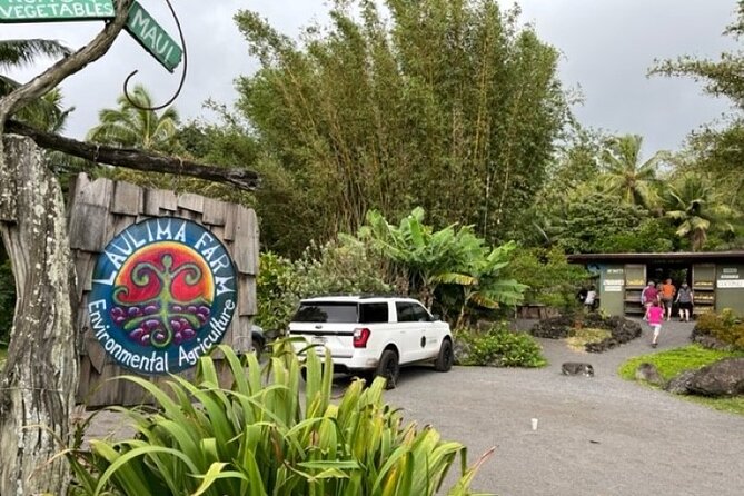 Maui by Storm: Epic Private Luxury Road to Hana Adventure Tour - Sea turtles at Ho’okipa and the ride home