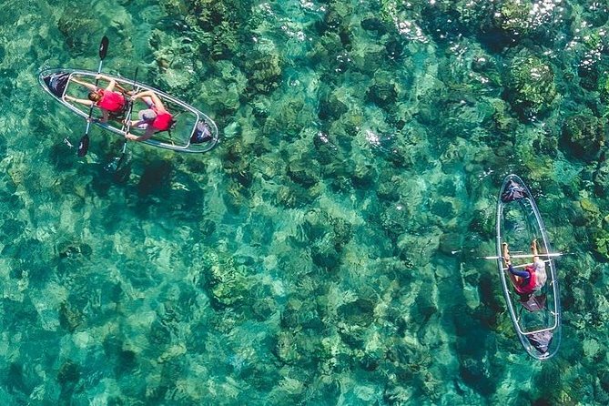Maui Clear Kayak and Snorkel Tour: Swim with turtles (Makena) - Key details before you book