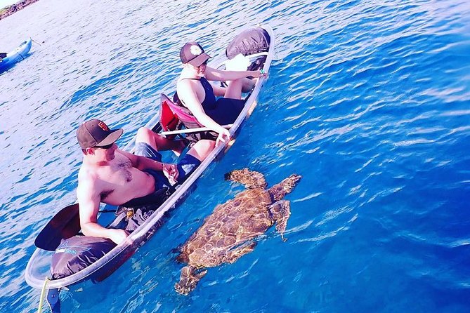 Maui Clear Kayak and Snorkel Tour: Swim with turtles (Makena) - Maui views beyond the reef