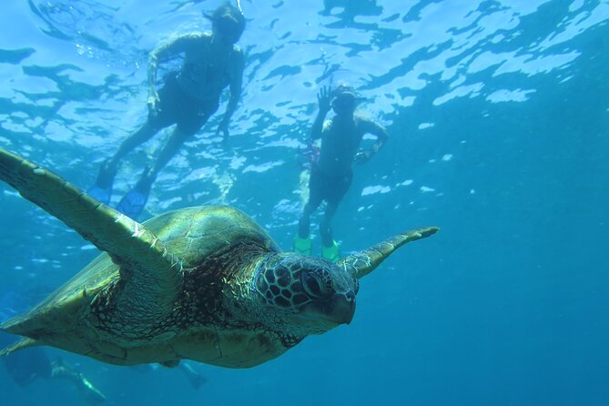 Maui Clear Kayak and Snorkel Tour: Swim with turtles (Makena) - Snacks, equipment, and practical comfort