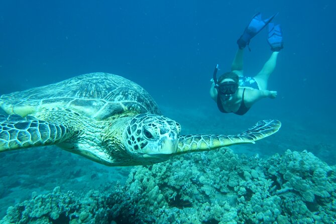 Maui Clear Kayak and Snorkel Tour: Swim with turtles (Makena) - Who will enjoy this Makena tour most