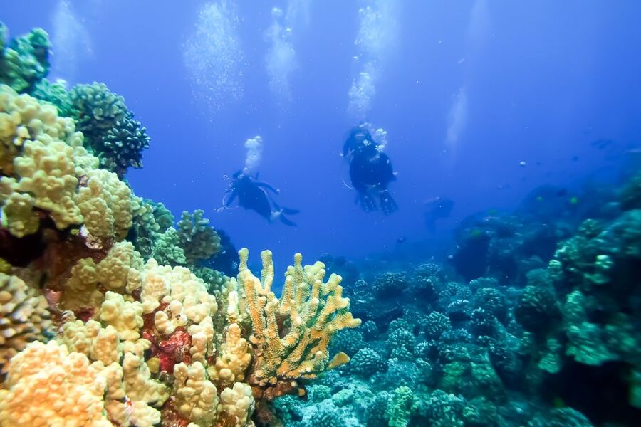 Maui: Eco-Friendly Molokini & Turtle Town Tour with Meals - What to bring to Maʻalaea Harbor