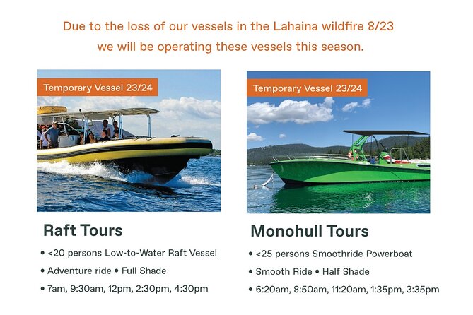 Maui Eco-Raft Tour: Eye-Level Whale or Dolphin Watching - Lahaina - Why the low raft changes the whale-watching experience