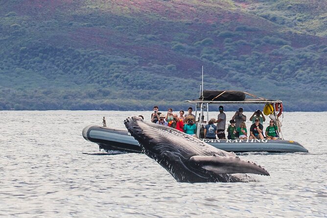 Maui Eco-Raft Tour: Eye-Level Whale or Dolphin Watching - Lahaina - The hydrophone adds a soundscape you cannot get from photos