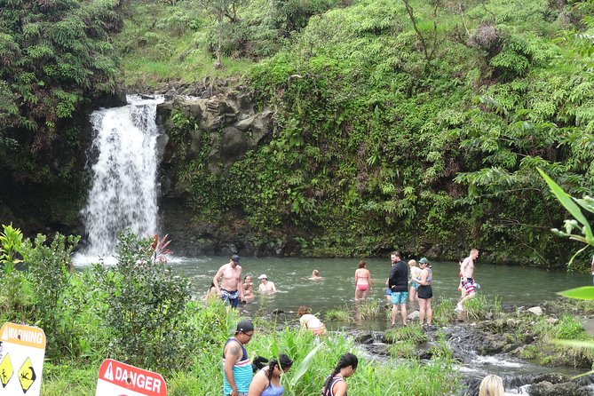 Maui: Famous Road to Hana Waterfalls and Lunch by Mercedes Van - Wailua Valley, Honomanu, and rainbow eucalyptus