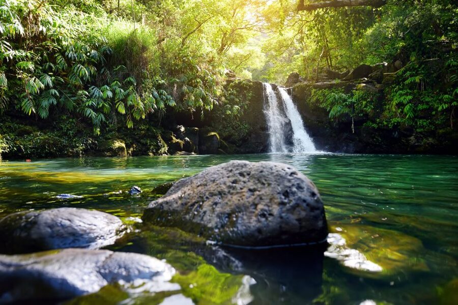 Maui: Guided Rainforest and Waterfall Walk & Swim - Key points to know before you book