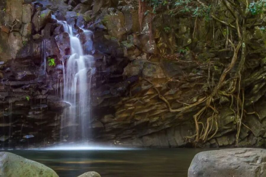 Maui: Guided Rainforest and Waterfall Walk & Swim - Why the guides make the difference