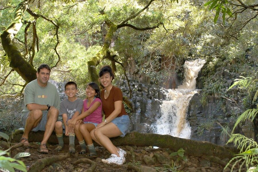 Maui: Guided Rainforest and Waterfall Walk & Swim - Family appeal, with a few limits