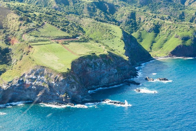 Maui Horseback Adventure at Circle M Ranch With Real Cowboys - How the $185.20 price holds up