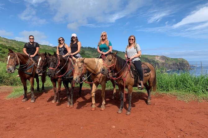 Maui Horseback Adventure at Circle M Ranch With Real Cowboys - Who will enjoy this ride most