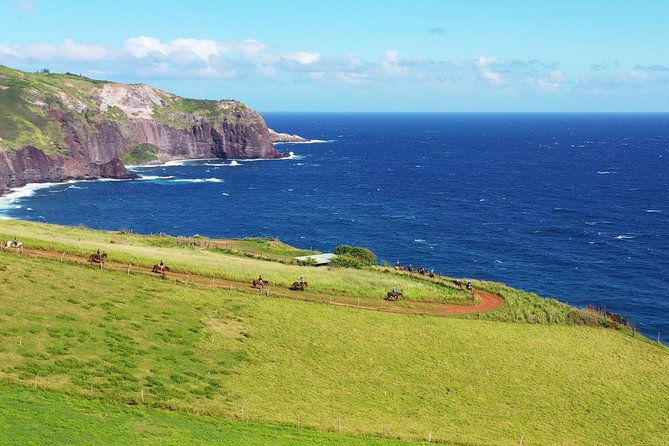 Maui Horseback Adventure at Circle M Ranch With Real Cowboys - What happens during the 45-minute briefing
