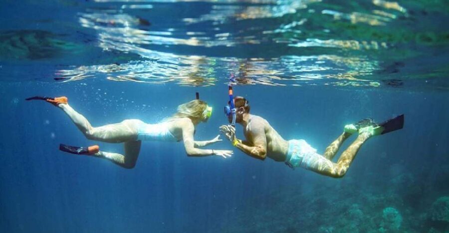 Maui: Kaanapali Beach 4-hour Snorkel w/ BBQ Lunch & Open Bar - The Open Bar and the Ride Home
