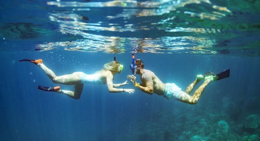 Maui: Kaanapali Beach 4-hour Snorkel w/ BBQ Lunch & Open Bar - What the $167 Price Really Covers