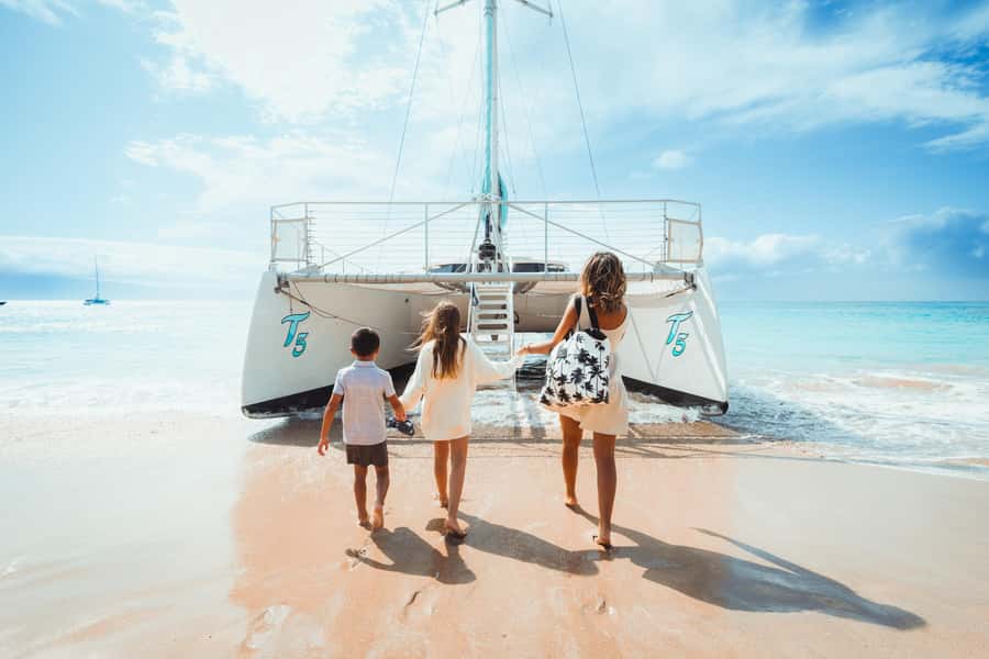 Maui: Kaanapali Whale Watching Boat with Open Bar and Food - Who should book this cruise?