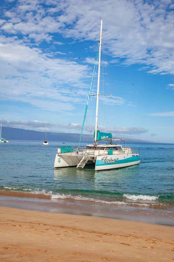 Maui: Kaanapali Whale Watching Boat with Open Bar and Food - FAQ