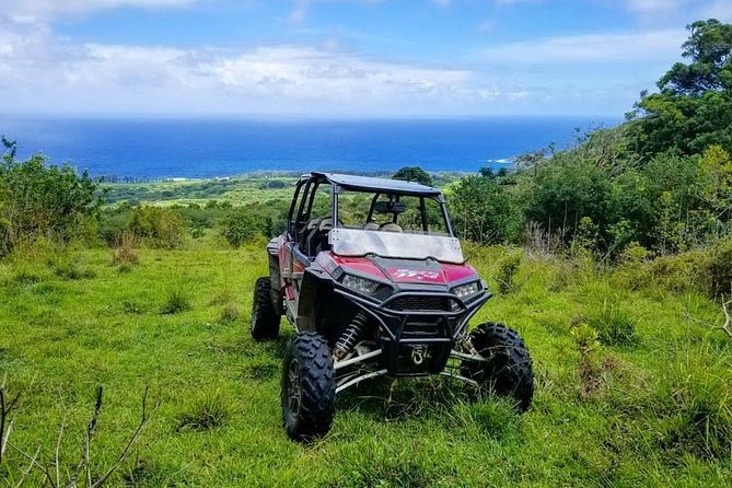 Maui: Lahaina ATV Adventure - The tree-planting stop gives the ride a purpose