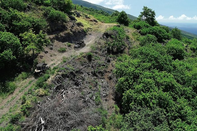 Maui: Lahaina ATV Adventure - The four-seat UTV is family-friendly, with firm rules