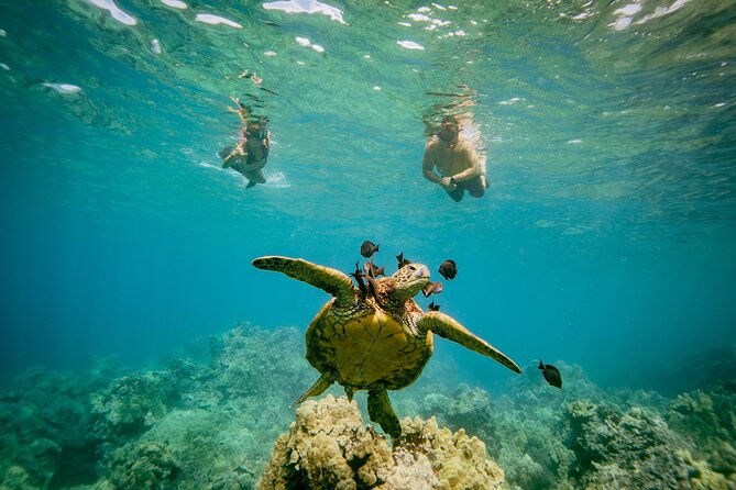 Maui: Molokini Crater and Turtle Town Snorkeling From Kihei - Who will enjoy this Kihei snorkeling tour